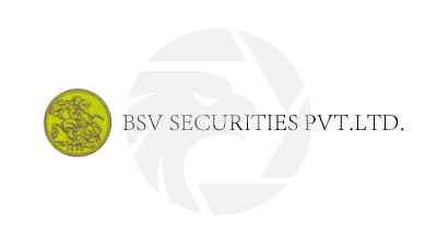 BSVSEC