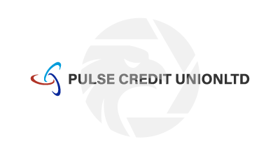 PULSE CREDIT