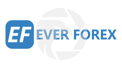 Fake EverForex