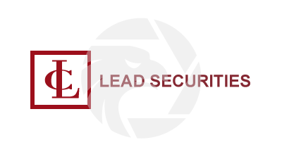 LEAD SECURITIES&INVESTMENT LIMITED