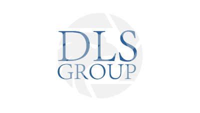 DLS GROUP 大森国际