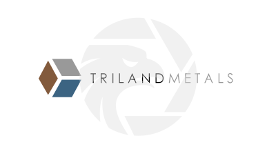 Triland Metals