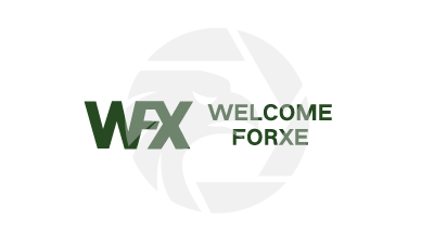 Forex Private