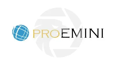Pro Emini