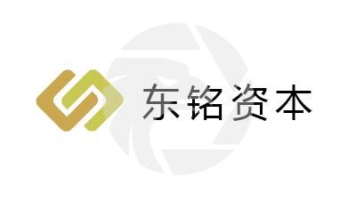 DOMIN GROUP LTD