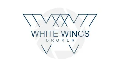 WHITE WINGS IT LTD