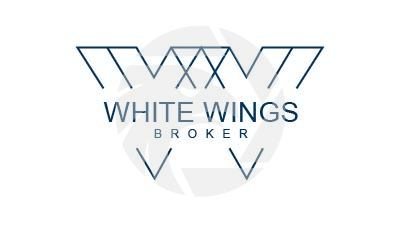 WHITE WINGS IT LTD