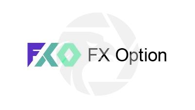FX Option