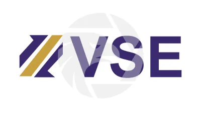 VSE