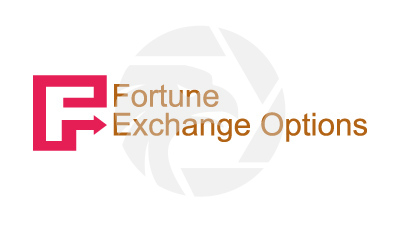 Fortune Exchange Options