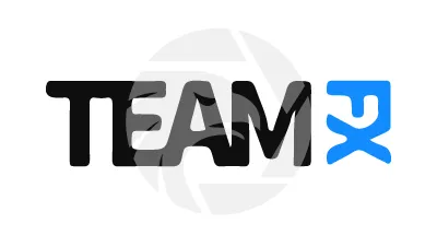 TEAM FX