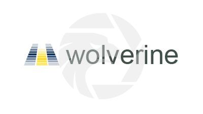 wolverine