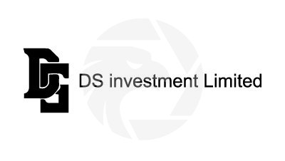 DS investment Limited