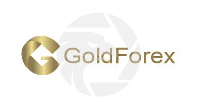 GoldForex 金汇集团