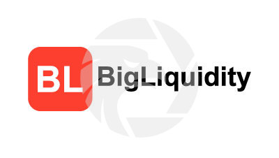 BigLiquidity 