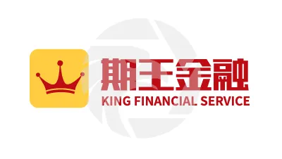 KING FINANCIAL SERVICES
