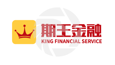 KING FINANCIAL SERVICES