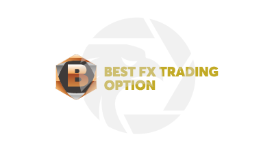 BEST FX TRADING OPTION