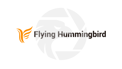 Flying Hummingbird