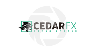  CedarFX