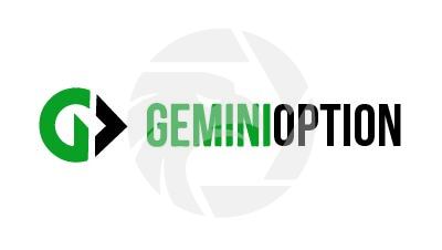 Gemini Option