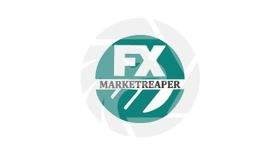 FX Markets