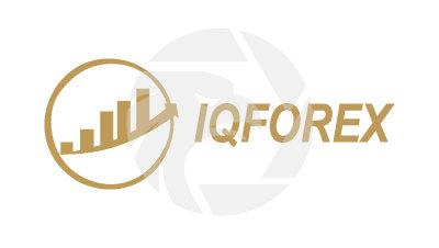  Iqforexoption
