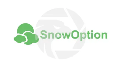 SnowOption