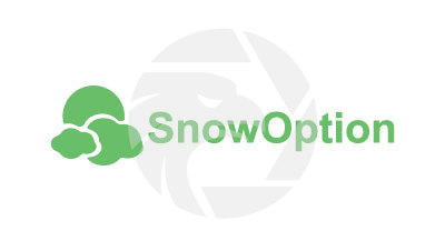 SnowOption