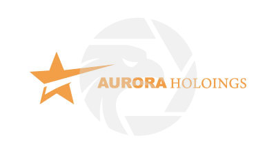 AURORA HOLDINGS