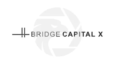 Bridge Capital X