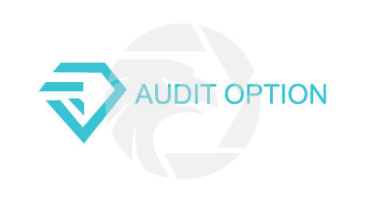 AUDITOPTION