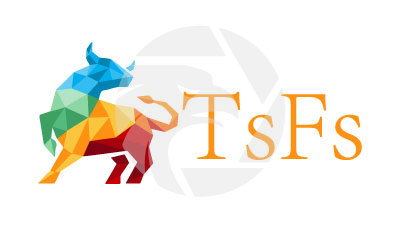 TsFX 