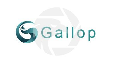 Gallop