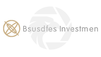 Bsusdfes Investmen