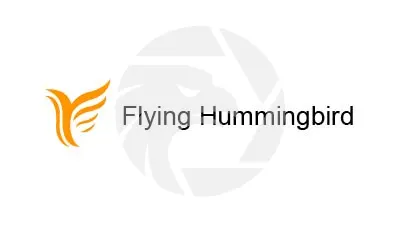 Flying Hummingbird