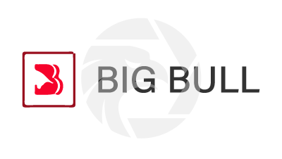 BigBull Fx