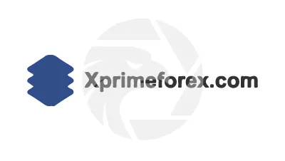 X PRIME FOREX