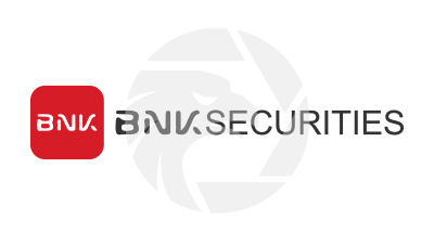 BNK SECURITIES