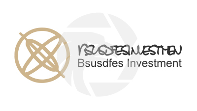 Bsusdfes Investment