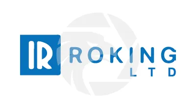 ROKING LTD