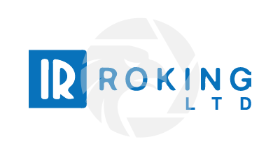 ROKING LTD