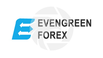 Evergreen Forex 長青外匯