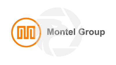 Montel Group