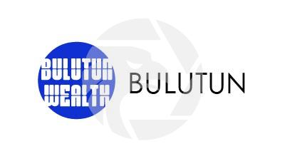 Bulutun Wealth