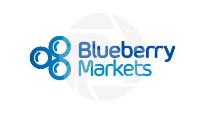 藍莓市場