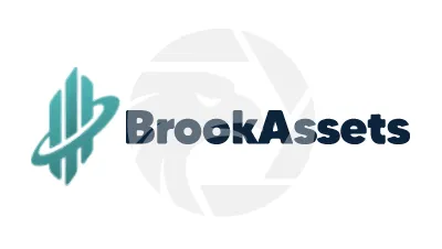 Brook Assets