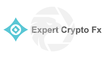 Expert Crypto Fx