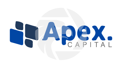 Apex Crypto Services