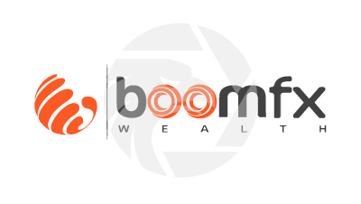 BoomFxWealth